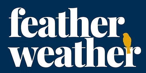 Feather Weather - Modern Alt Fusion | Hearty Solos | Fat Grooves