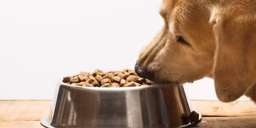 KCFOA @ Veterans Resources Fair