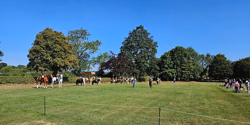 Brailes Horse Show 2026