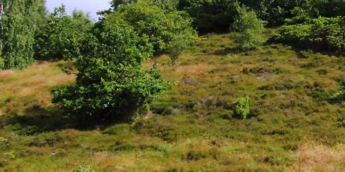 Kort og kompas for begyndere