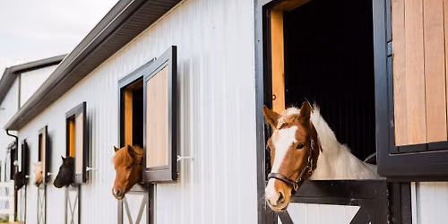 Tuesday Barn Tours