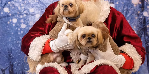 Santa pics to benefit a Place for Ace !