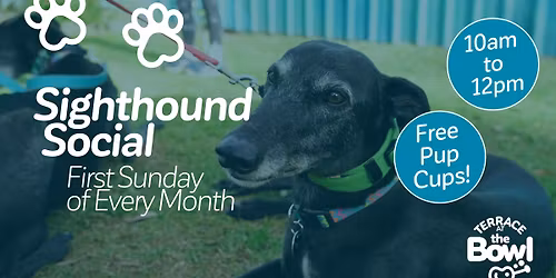 Sighthounds Social