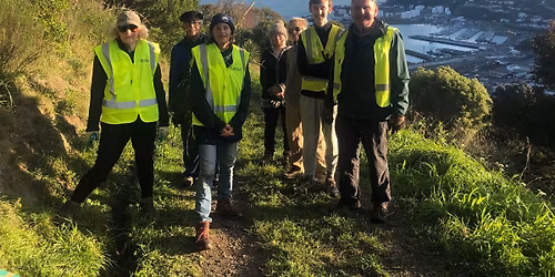 Steadfast Stream Weeding Bee