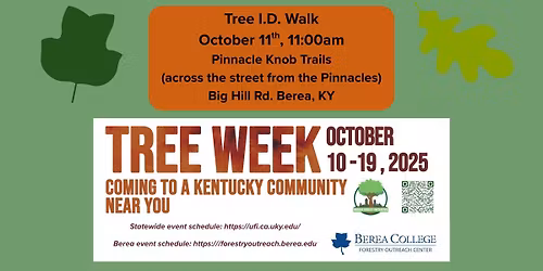 Tree I.D. Walk 