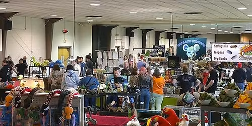 Ohio Reptiles and More Expo