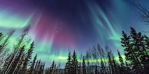 Art in the Park - Northern Lights!