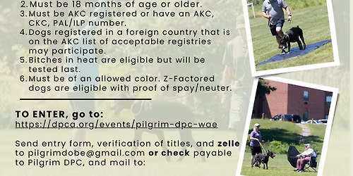 DPCA Working Aptitude Evaluation (Hosted by PDPC)