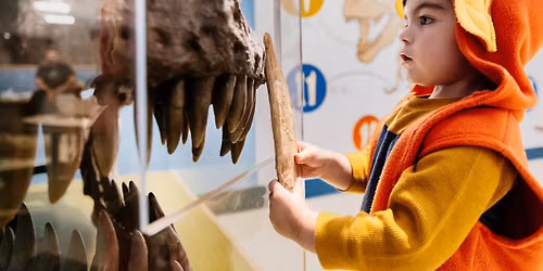 Itty Bitty Explorers: T. rex Teeth & Tails