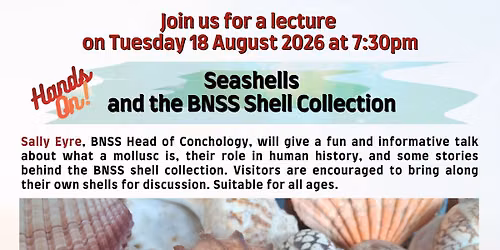 Lecture: Seashells and the BNSS Shell Collection, with Sally Eyre
