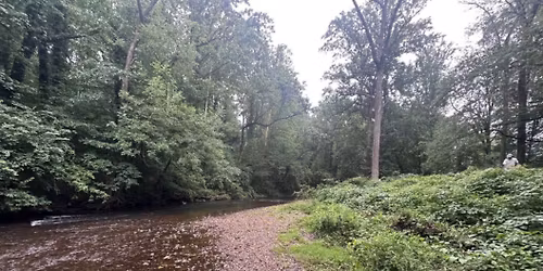 Rolling Green Park Tree Planting