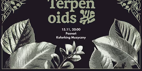 Terpenoids - koncert (alt\/punk\/fusion z Wroc\u0142awia)