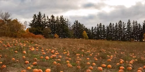 Save the date- Pumpkins for a Purpose