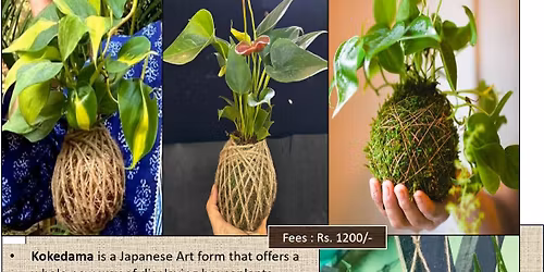 Kokedama Workshop