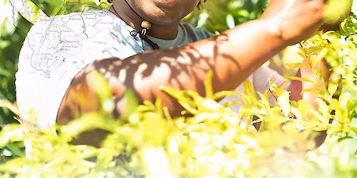 Rooted @Dominican University