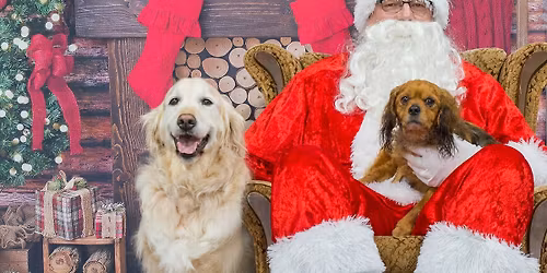 Christmas Santa Pet Photos