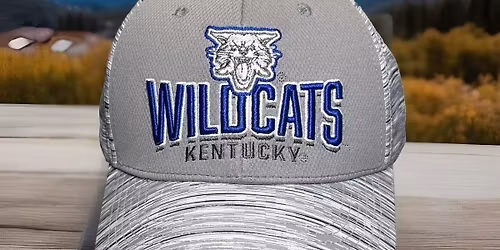 Kentucky Wildcats at South Carolina Gamecocks Baseball at Founders Park