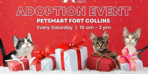Adoption Event at Petsmart Fort Collins