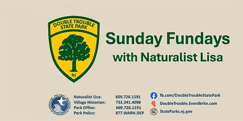 Sunday Fundays:  Shell-ebrate Turtles  06\/21\/2026