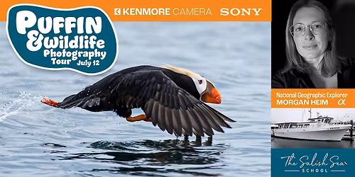 Puffin & Wildlife Photography Tour w\/ Kenmore Camera and Sony