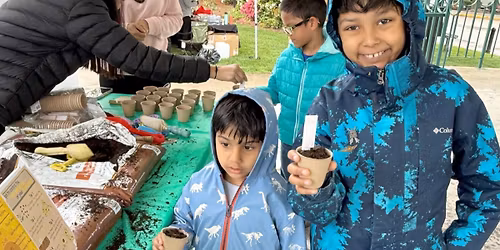 Parking Alie Ward - Ologies