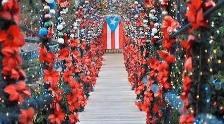 Caribbean Christmas \ud83c\udf84\ud83c\udf34\ud83c\uddf5\ud83c\uddf7