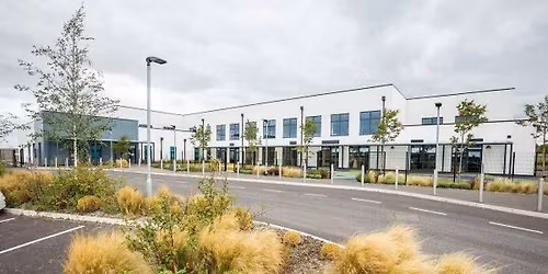 Shinfield Alder Grove Fireworks