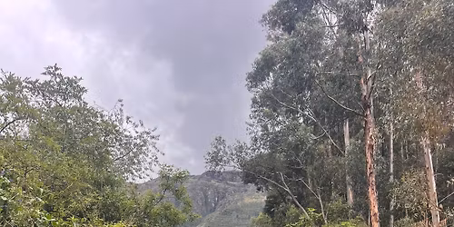 Beginner & Beyond Yoga