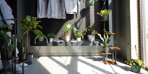 Trap House Plant Bingo