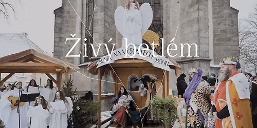 \u017div\u00fd betl\u00e9m a v\u00e1no\u010dn\u00ed koncert