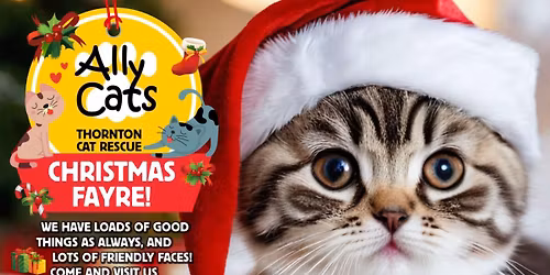 Ally Cats Xmas Fayre