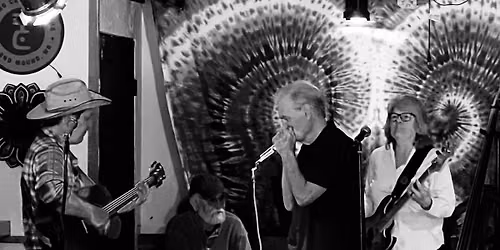 Ted's FaultTrio at The Howling Moon Friday, July 17 at 7:00 PM