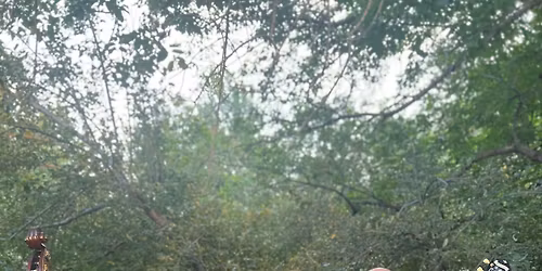 the Tangents at Pearl Street Pub!