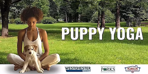 Puppy Yoga