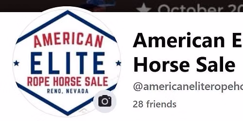 American Elite Rope Horse Sale 2026