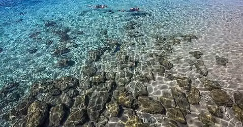 Snorkeling at Phil Foster Trail