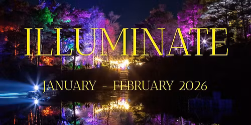 ILLUMINATE at The Blue Pool