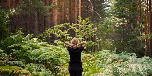 Atelier formatif - D\u00e9couverte de l\u2019\u00e9quilibrage des 7 chakras