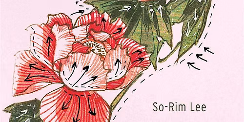 Remedying the Body: Plastic Surgery and the Politics of Embodiment in Korea