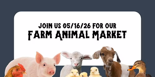Farm Animal Market