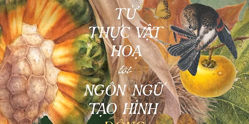 To\u1ea1 \u0111\u00e0m & Workshop \u201cT\u1eea TH\u1ef0C V\u1eacT HO\u1ea0 t\u1edbi NG\u00d4N NG\u1eee T\u1ea0O H\u00ccNH \u0110\u00d4NG T\u00c2Y\u201d