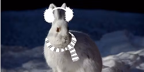 Mother Nature's Winter Gear