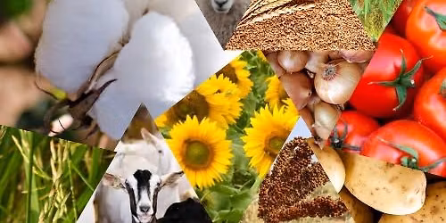 Africa Young Farmers Awards