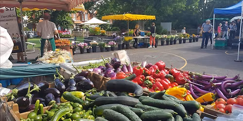 Marylebone Farmers Market - Every Sunday 10am to 2pm