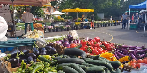 Marylebone Farmers Market - Every Sunday 10am to 2pm