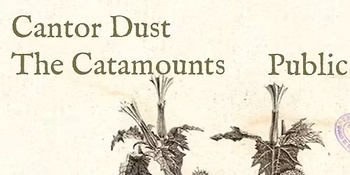 Cantor Dust & The Catamounts: the show