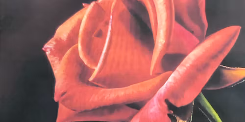 Free Watercolor Painting Workshop in memory of Carol Morris