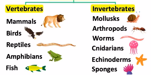 Movable Minds: What Holds You Up?