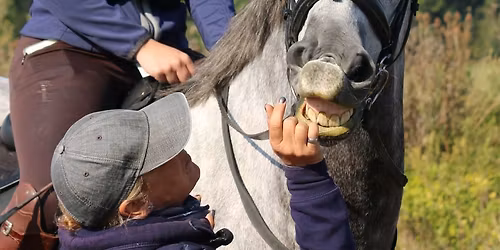 Arena XC at Ion Farm Gravenhurst MK45 4HH