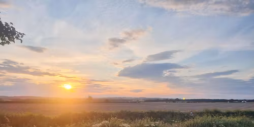 Damascus Rose @ Acklington Village Hall